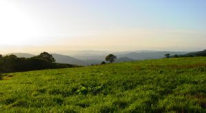 Taneyamagahara Plateau